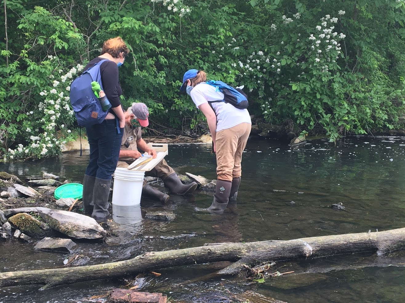 Saw Kill Stream Studies - July 2020 Progress - Microhydro NY